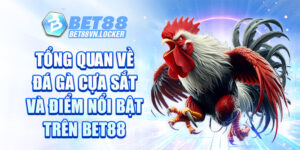 Tổng quan về đá gà cựa sắt và điểm nổi bật trên Bet88