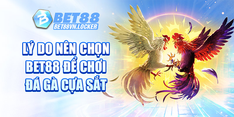 Lý do nên chọn Bet88 để chơi đá gà cựa sắt