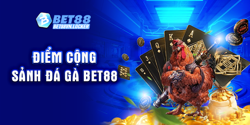 Điểm cộng sảnh đá gà Bet88