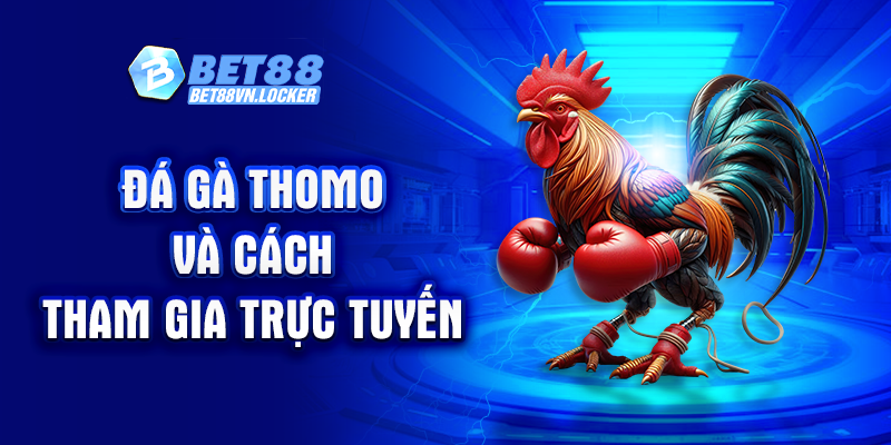 Đá gà Thomo Bet88 và cách tham gia trực tuyến