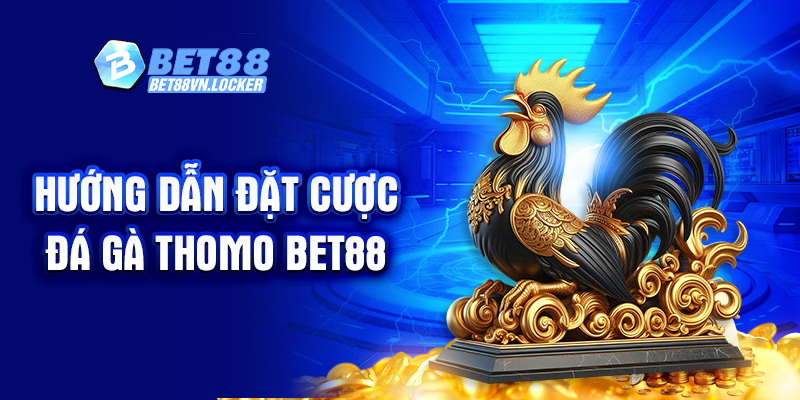 Hướng dẫn đặt cược đá gà Thomo Bet88