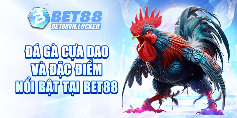 Đá gà cựa dao và đặc điểm nổi bật tại Bet88