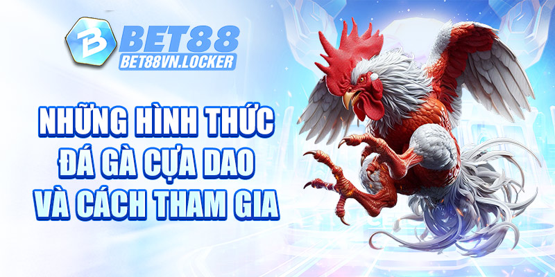 Những hình thức đá gà cựa dao và cách tham gia