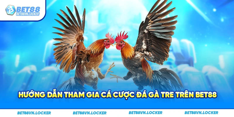 Hướng dẫn tham gia cá cược đá gà tre trên Bet88