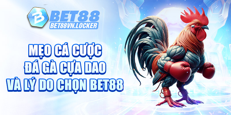 Mẹo cá cược đá gà cựa dao và lý do chọn Bet88