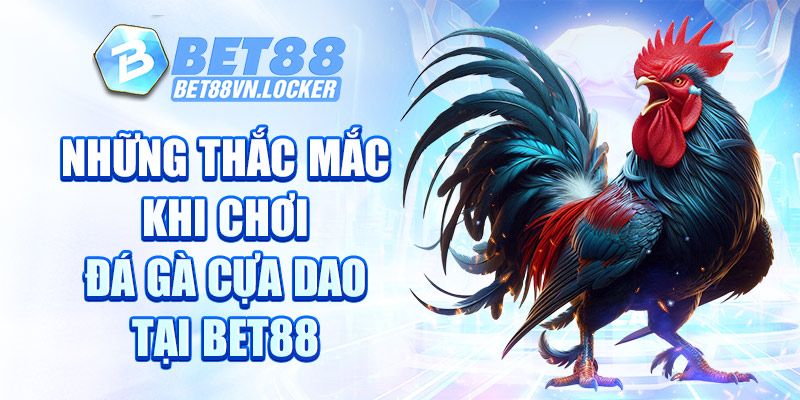 Những thắc mắc khi chơi đá gà cựa dao tại Bet88