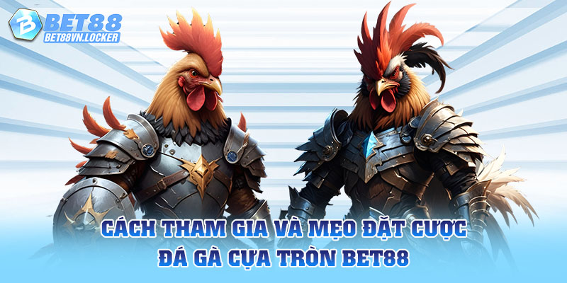 Cách tham gia và mẹo đặt cược đá gà cựa tròn Bet88