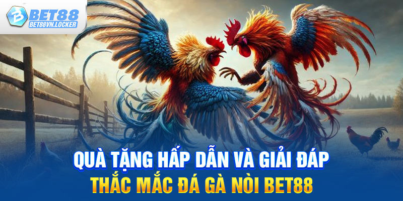 Quà tặng hấp dẫn và giải đáp thắc mắc đá gà nòi Bet88