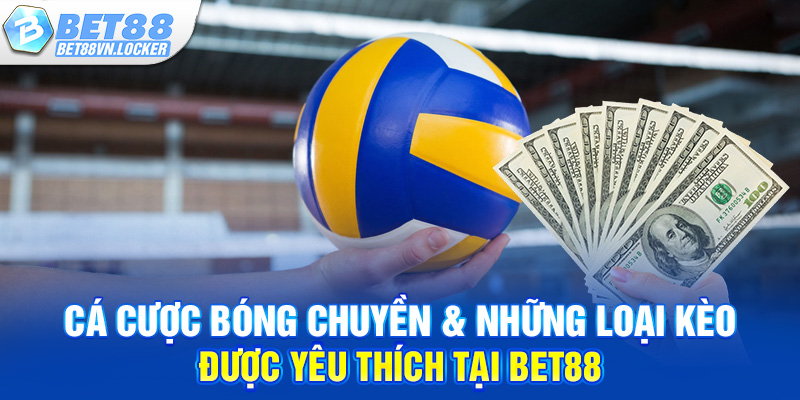 Cá cược bóng chuyền & những loại kèo được yêu thích tại Bet88