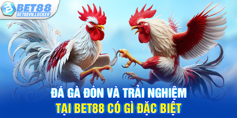 Đá gà đòn và trải nghiệm tại Bet88 có gì đặc biệt
