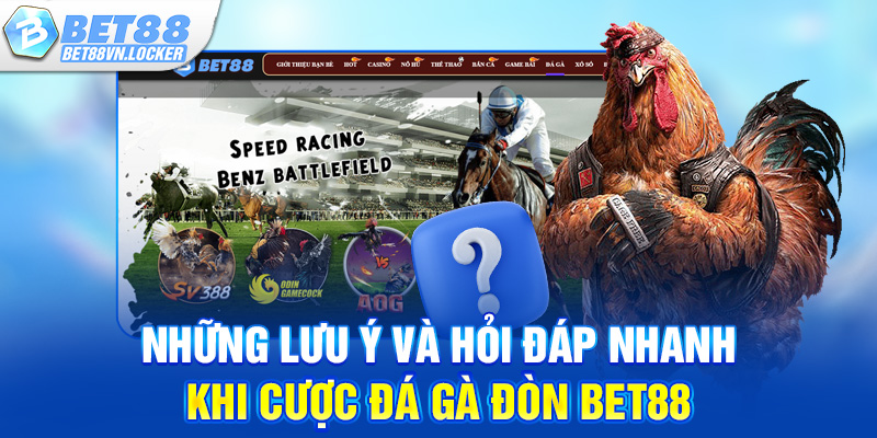 Những lưu ý và hỏi đáp nhanh khi cược đá gà đòn Bet88